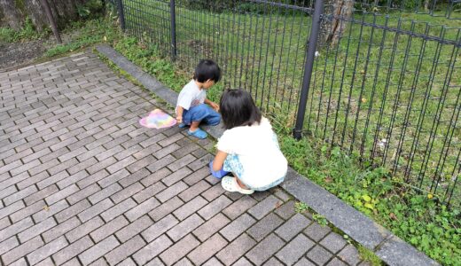 【子育て日記】初めての家族で泊まりキャンプ